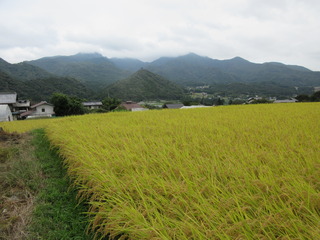 IMG_0767.JPG