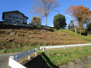 IMG_5624.JPG