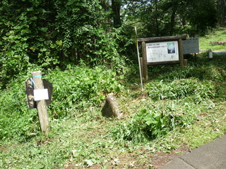 P1250503.JPG