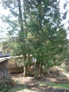 P1260556.JPG